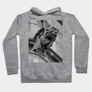 Bamburgh Scotland Castle Gargoyle Hoodie